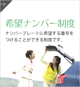 ナンバープレート制度