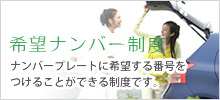 ナンバープレート制度